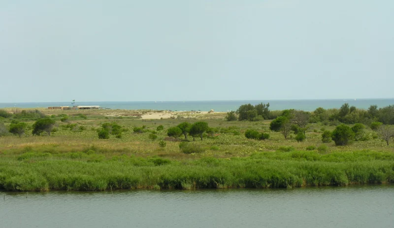 PLAGE SUD