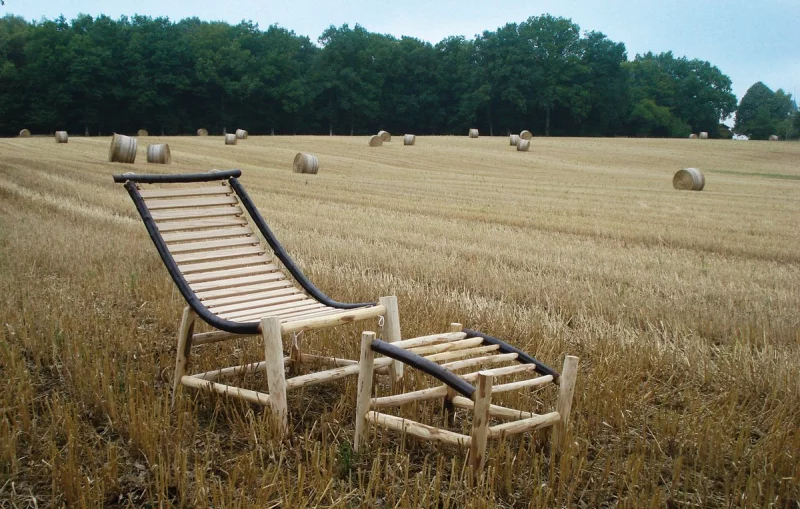 Création Chataignier
