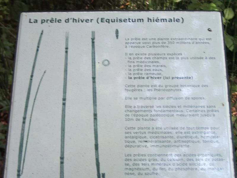Site du Herapel