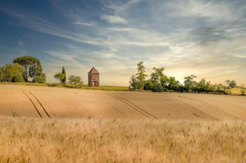 LE PIGEONNIER