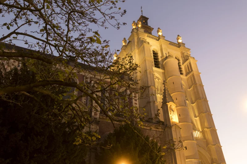 Collégiale Saint-Pierre