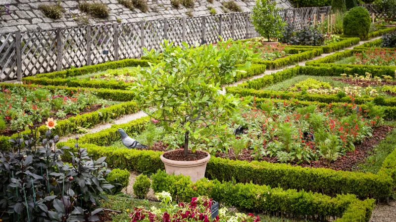Jardins renaissance au Domaine national du Château de Pau