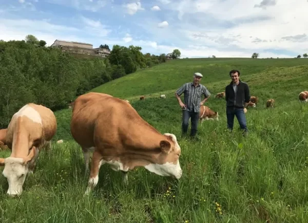 Ferme de Gandalou (groupes)