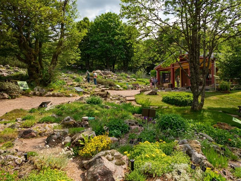 Jardin d'Altitude du Haut Chitelet