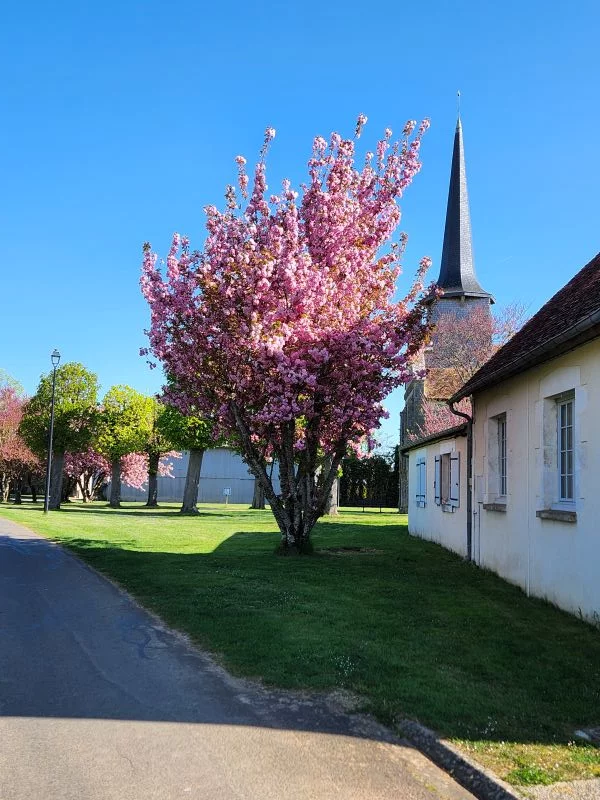 Eglise Saint-Martin