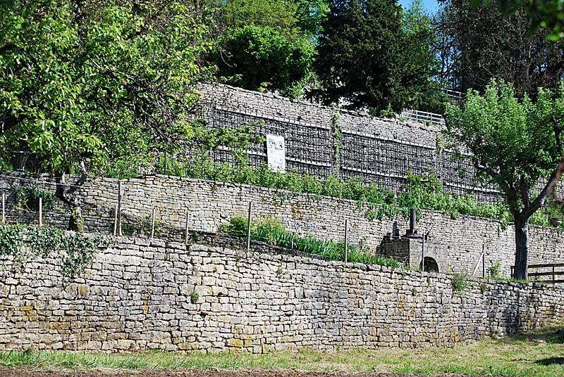 Les Jardins Suspendus de Cohons : le Clos de la Roche