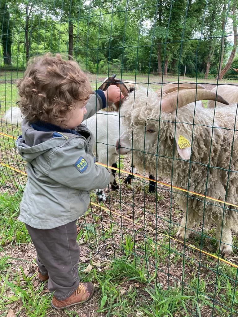 Ferme Pédagogique Les Minis Pattes