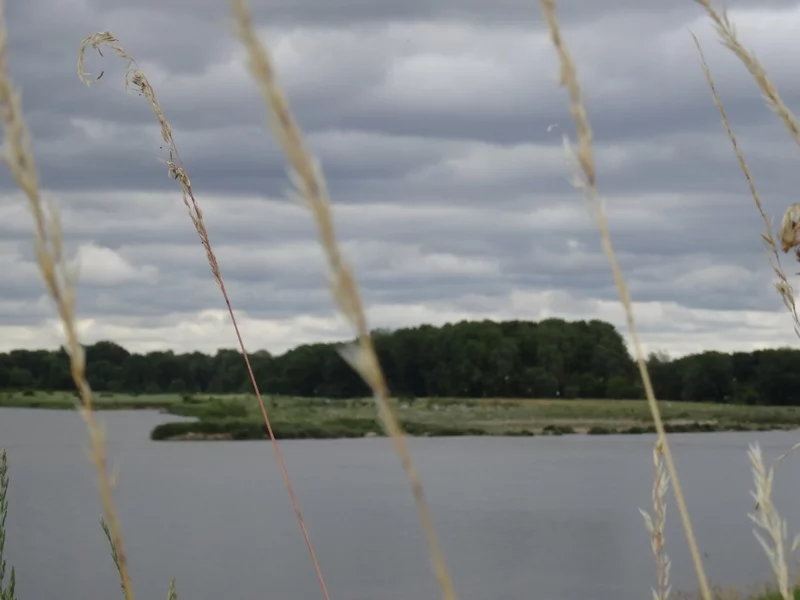 L'Ile aux oiseaux