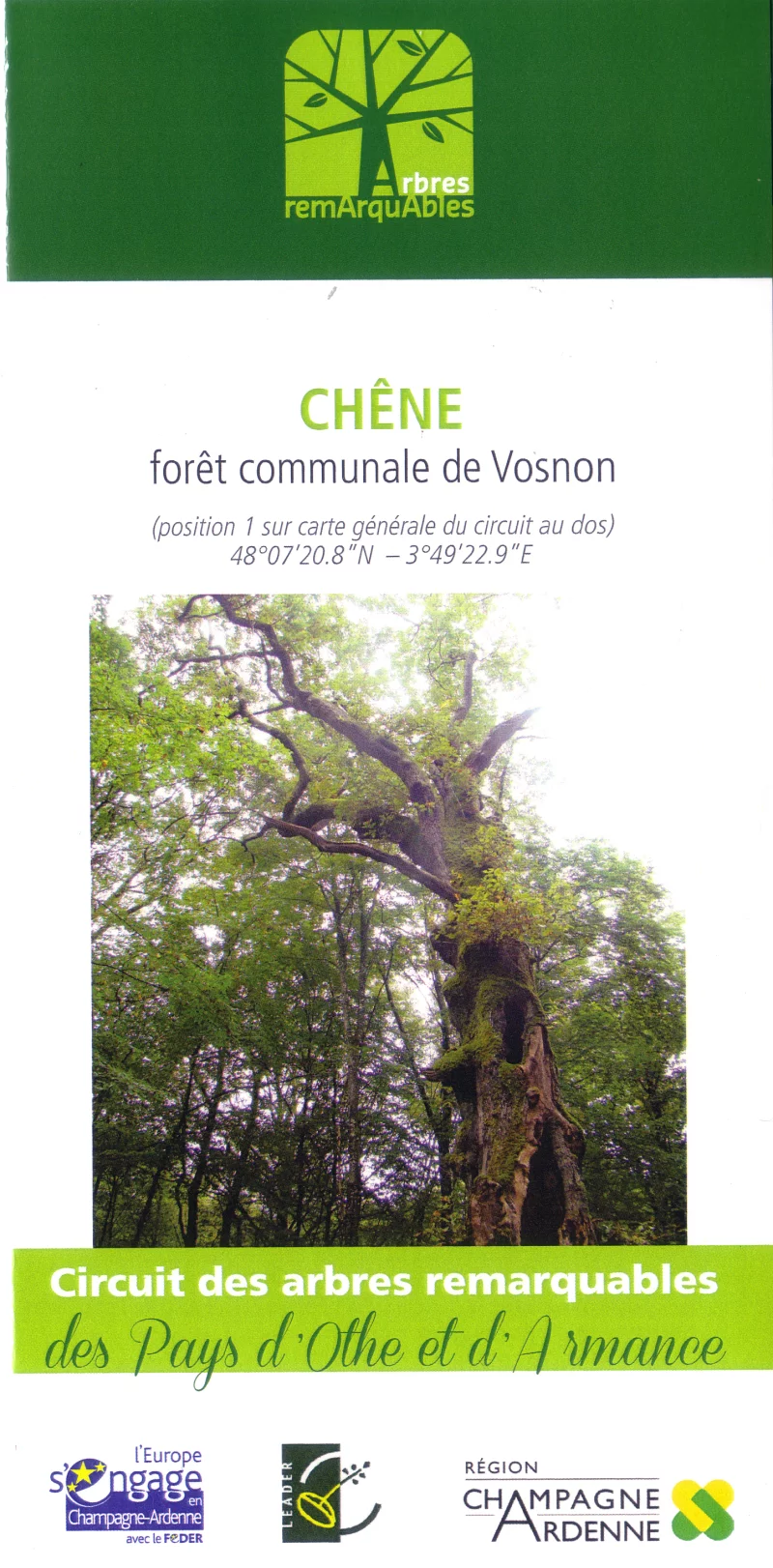 Circuit des arbres remarquables