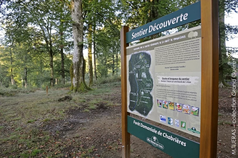 Sentier découverte de la Forêt de Chabrières