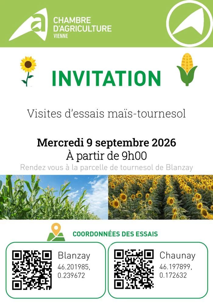 Visites d’essais maïs-tournesol