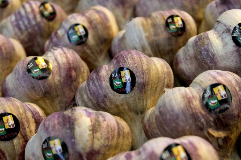 FÊTE DE L'AIL VIOLET DE CADOURS