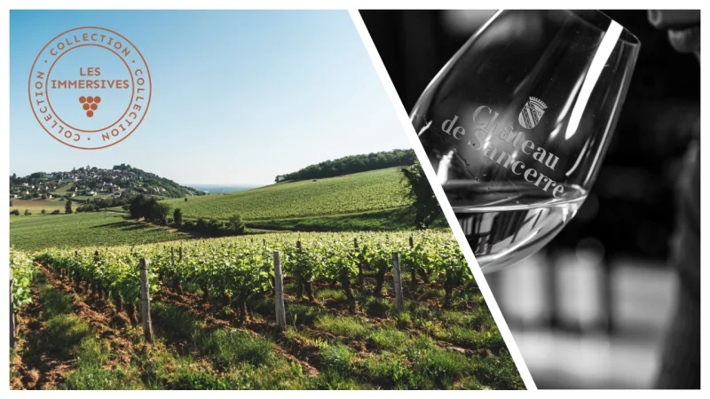 [Vignobles en Scène !] Dégustation verticale de notre cuvée historique: Regards sur l'empreinte des millésimes