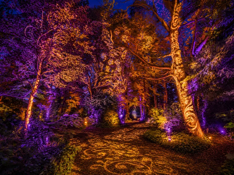 Spectacle son et lumière avec concert à Goeulzin