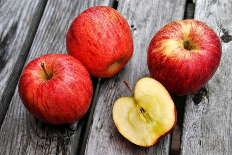 JEUX SUR ALIMENTATION