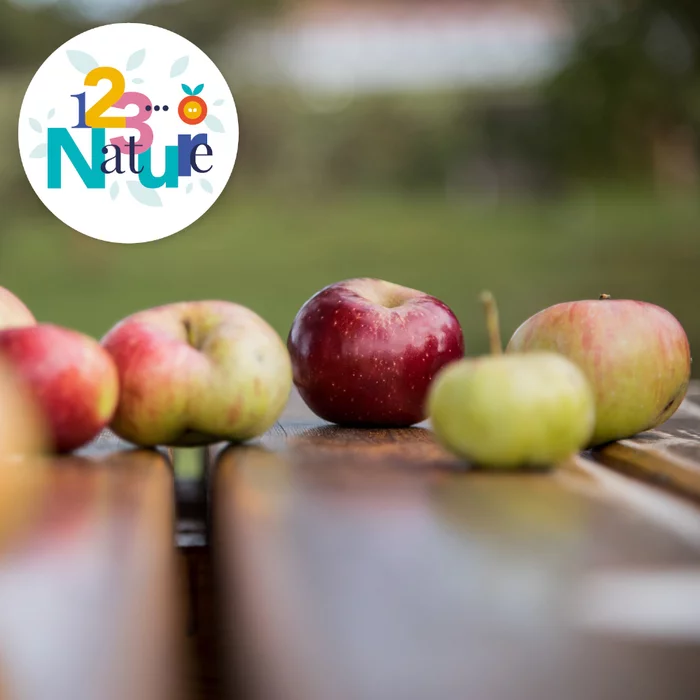 Atelier arboriculture - Tutti Frutti