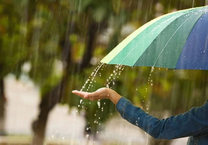 Balade sous la pluie