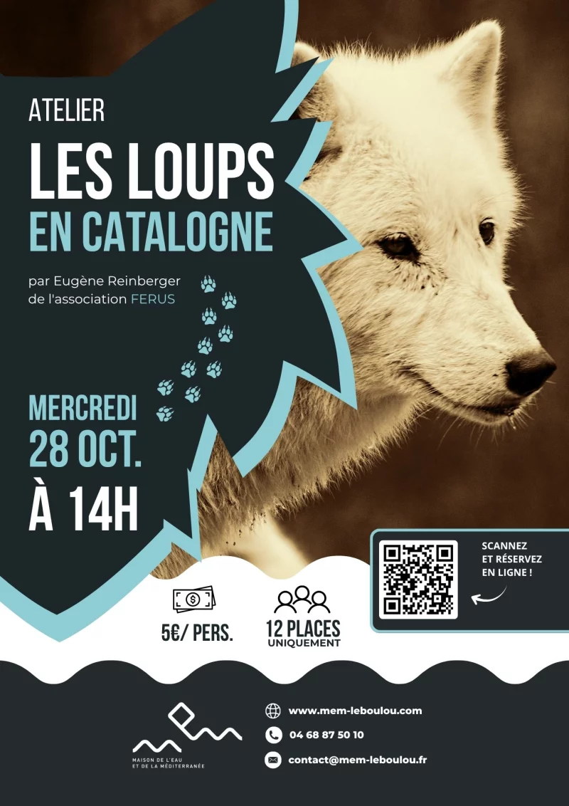 ATELIER SUR LES TRACES DES LOUPS