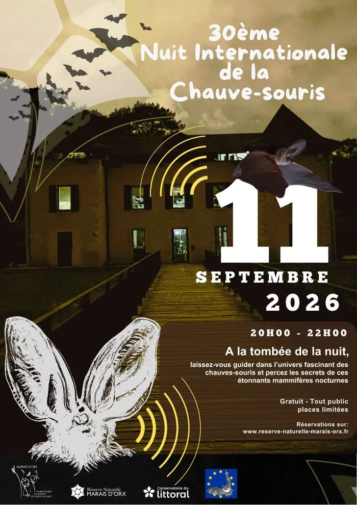 Sur les traces des chauves-souris