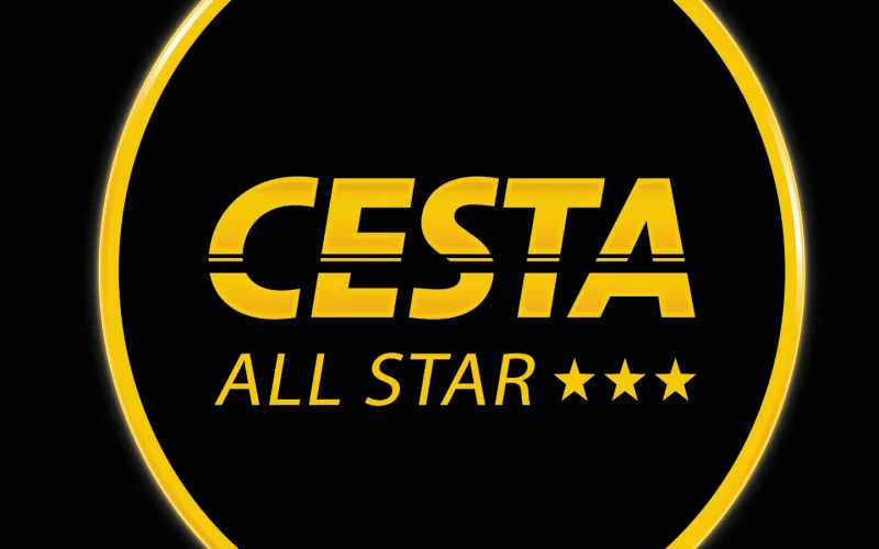 Cesta all star: La Finale