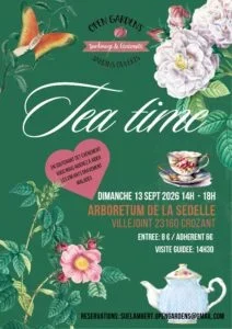 Tea time