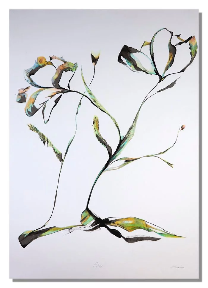 Exposition "A fleur de" - Amandine Mettier