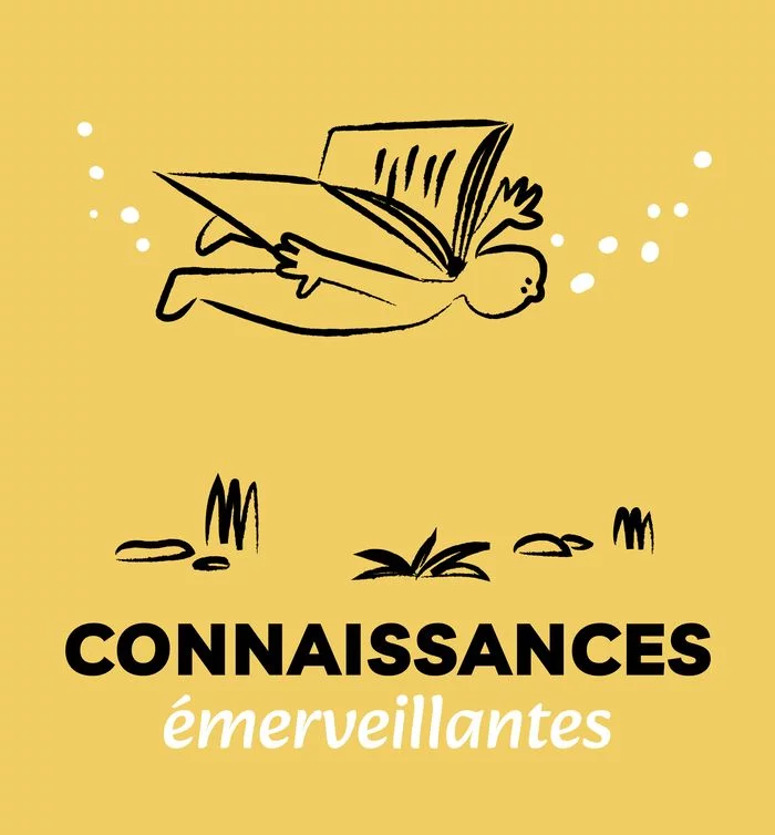 Atelier "Énigmes & intelligence collective""