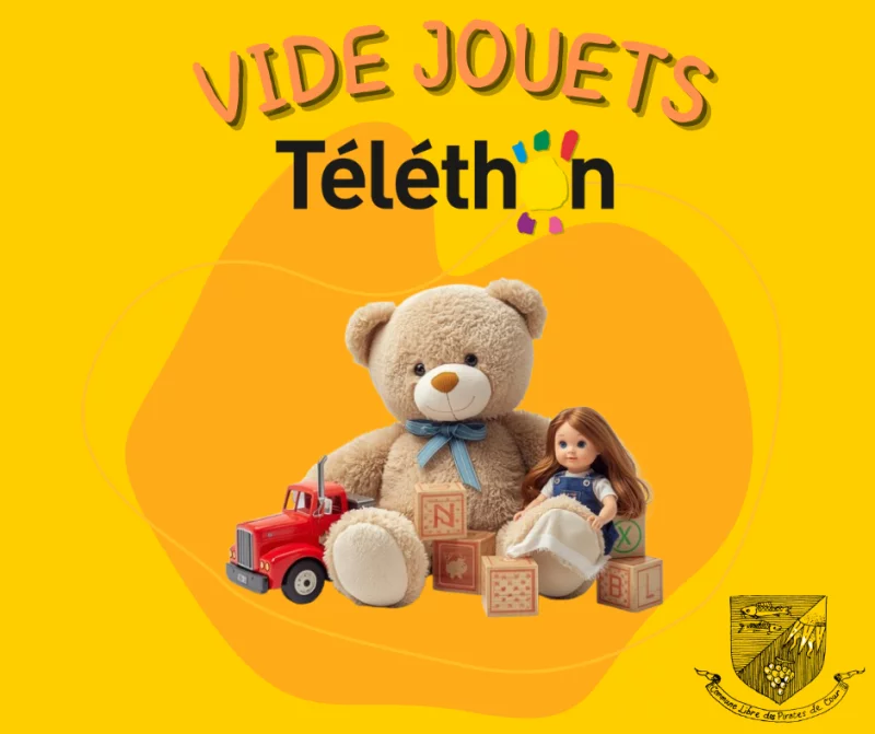 Vide jouets - Pirates de Cour - Téléthon 2026