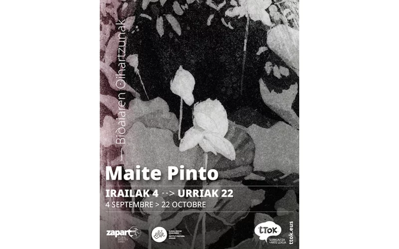 Exposition de Maité PINTO : "Bidaiaren oihartzunak" - "Echos de voyage"