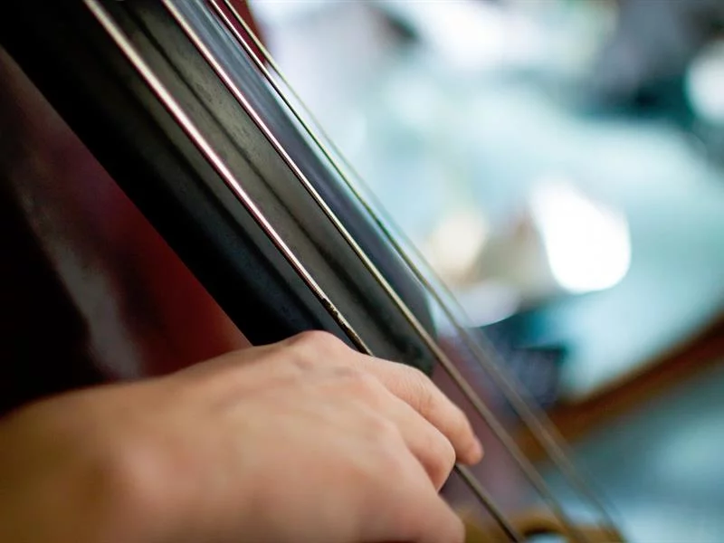 Fête de la musique