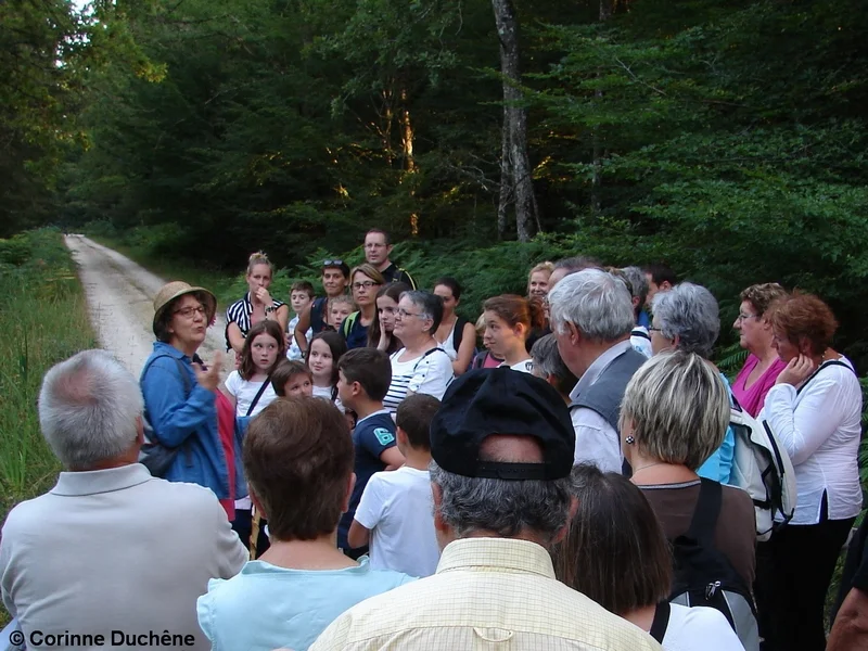 Spectacle et balade contée en Val de Creuse avec la conteuse Corinne Duchêne