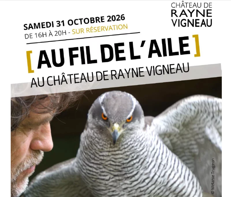 Au fil de l'aile