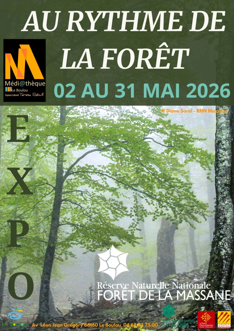 AU RYTHME DES FORÊTS : LA FORÊT DE LA MASSANE