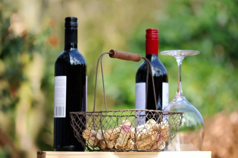 DEGUSTATION AU DOMAINE D'ESPERET