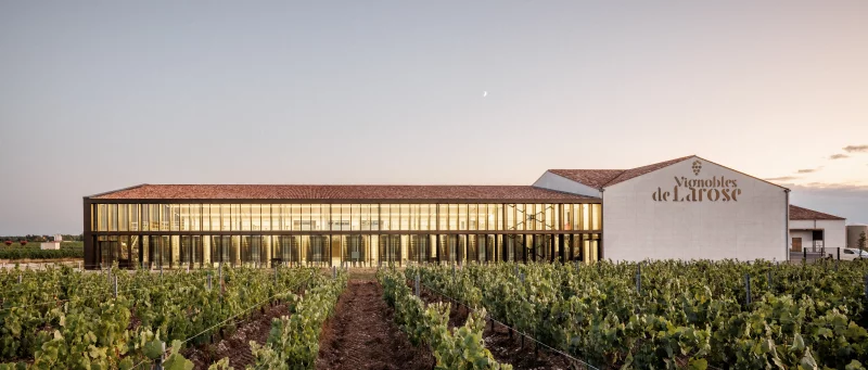 Vignobles en Scène : Banquet en Médoc avec le poulet du dimanche !