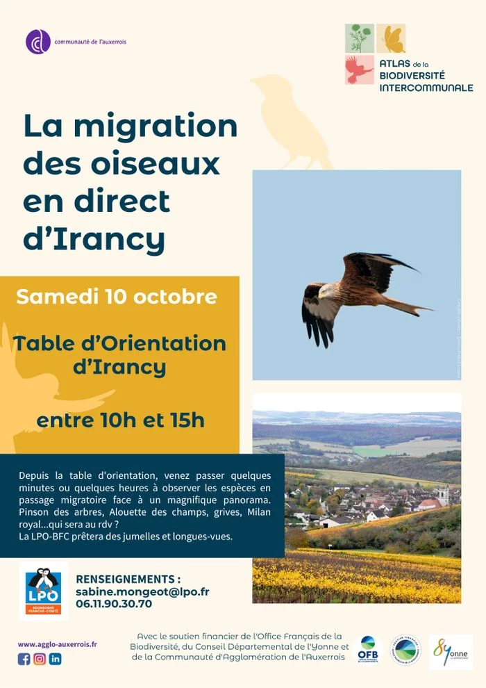 La migration des oiseaux en direct d'Irancy