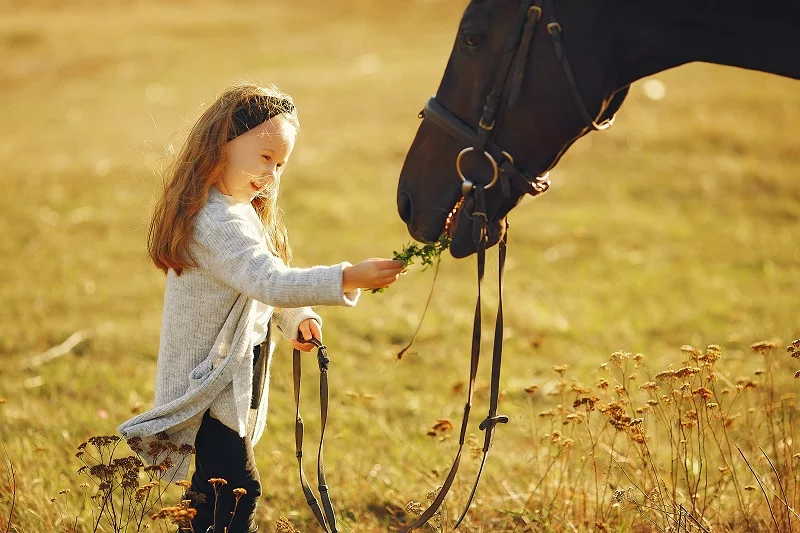 Cavalier Autrement : balade à poney