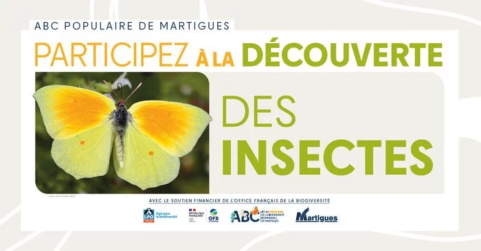 Atlas populaire de la Biodiversité Communale : " Découverte des insectes "