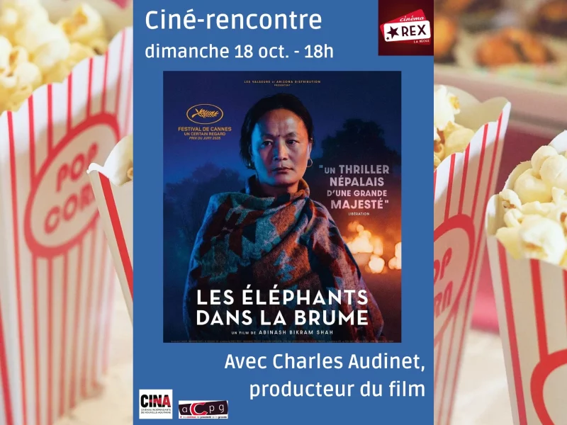 Ciné-rencontre : Les éléphants dans la brume