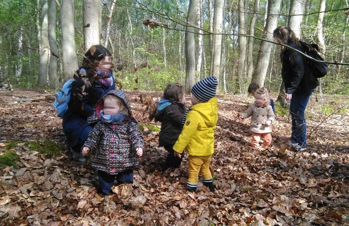COMPLET | La forêt des tout-petits