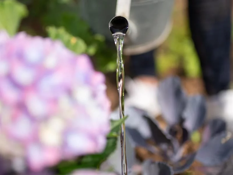 La balade des jardiniers