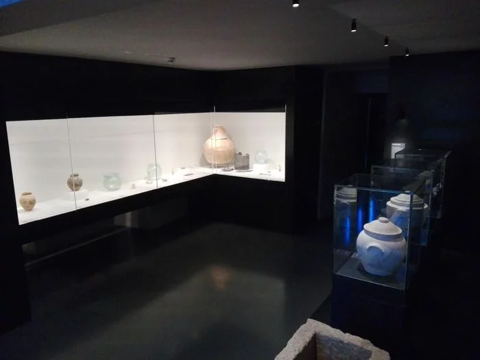 Visite libre du musée Gallo-Romain