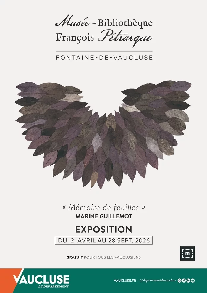 Rencontre avec l'artiste : Marine Guillemot nous parle de l'exposition Mémoire de feuilles