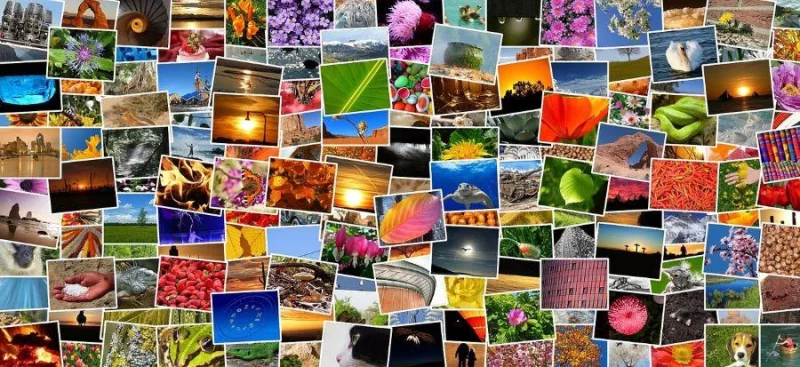 Expo photos en plein air