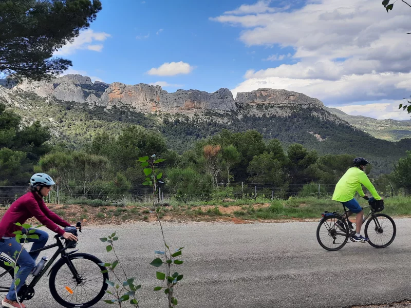La Vélo-Triballe
