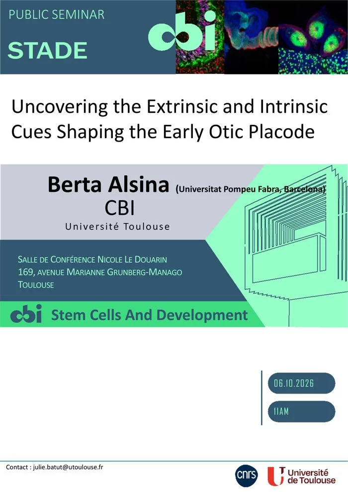 Uncovering the Extrinsic and Intrinsic Cues Shaping the Early Otic Placode