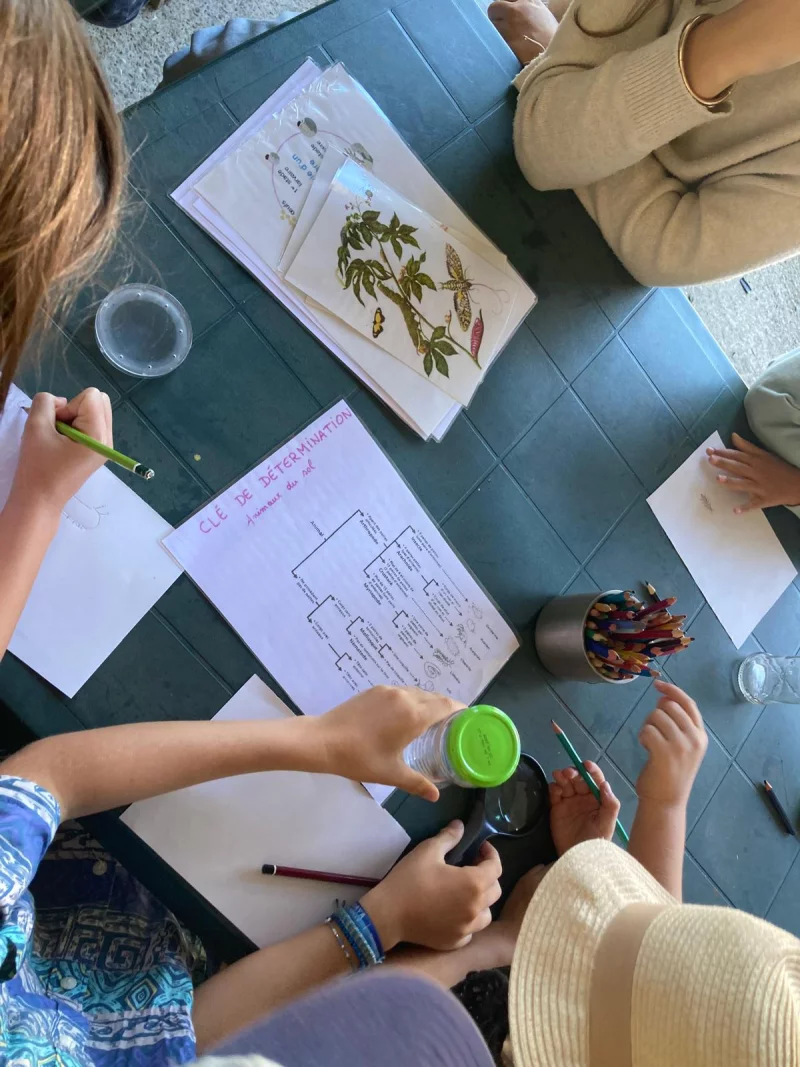 Atelier "En[quête] d’insectes"