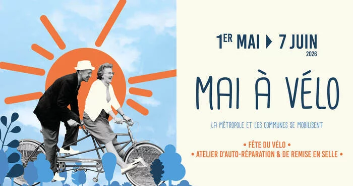 Animations Triporteurs