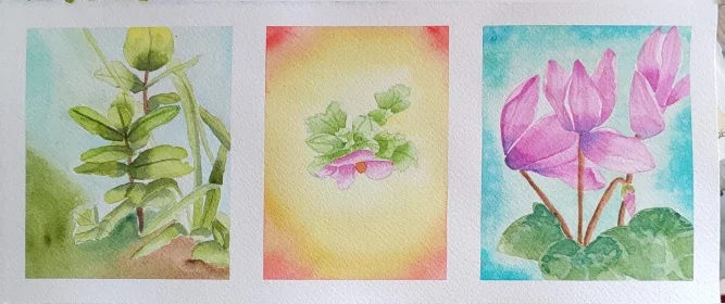 Les aquarelles de Deborah