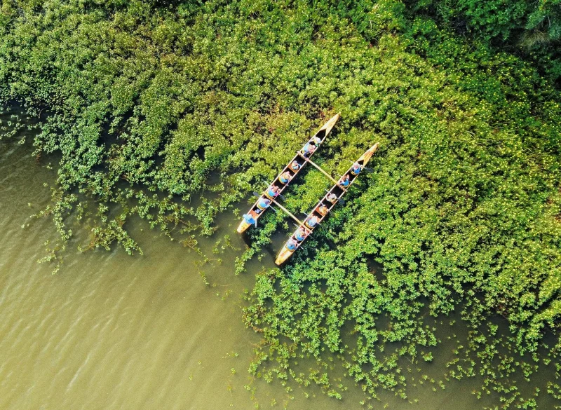 Balade nature en pirogue hawaïenne